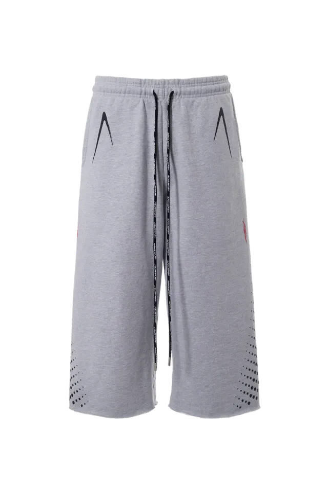 Hellstar Hype Flight 3/4 shorts grå fleece