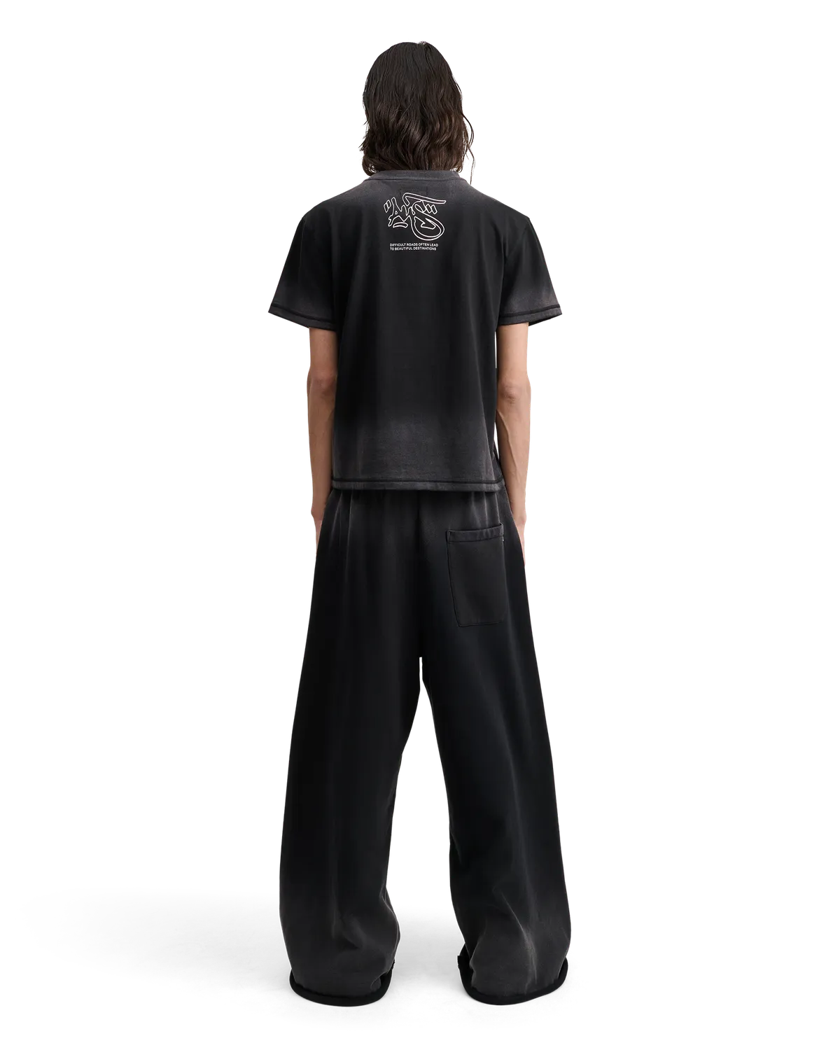 Alis Torey t-shirt faded black cropped
