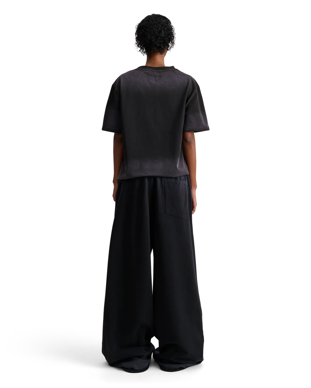 Alis Torey cropped t-shirt faded black